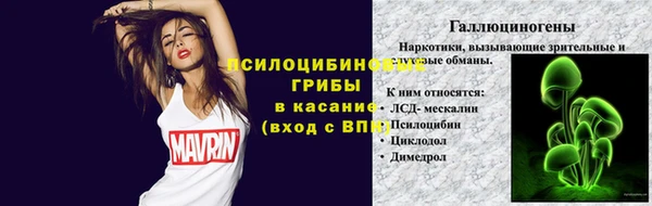 трава Новозыбков